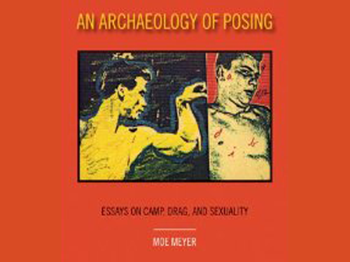 An Archaeology of Posing: Essays on Camp, Drag, and Sexuality