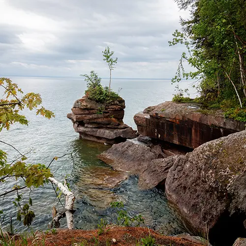 are dogs allowed on apostle islands