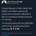Wausau Public Health and Safety Committee advances proposal to ban conversion therapy