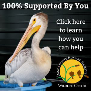 DCHS Wildlife Center
