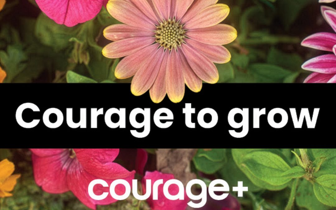 Courage+ launches statewide Pride Month art installation highlighting LGBTQ+ youth resilience