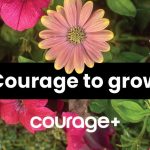 Courage+ launches statewide Pride Month art installation highlighting LGBTQ+ youth resilience